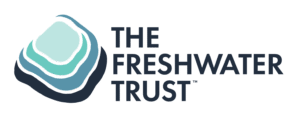 TFT Logo